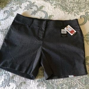 The Limited Shorts